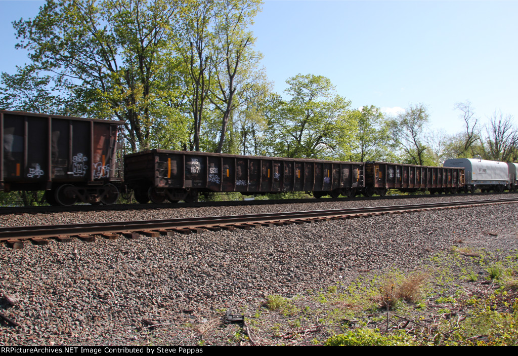 NS 187631 and GONX 310602